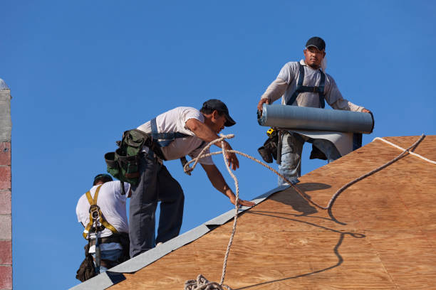 Best New Roof Installation  in Nashville, IN