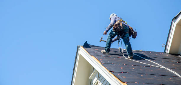 Best Roof Repair Services  in Nashville, IN